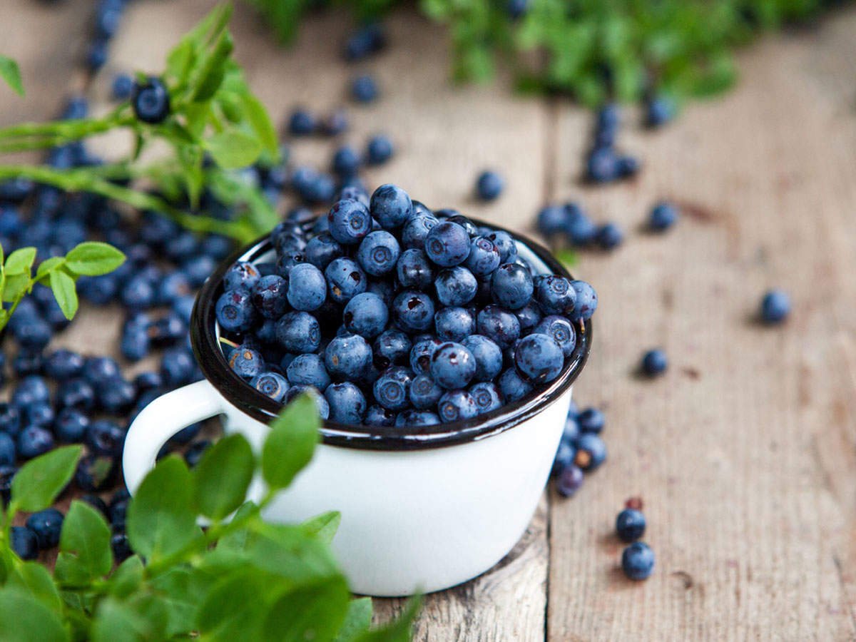 Top 10 Best Proven Health Benefits of Blueberry